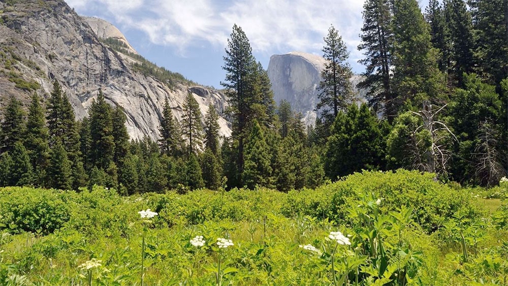 The Best Yosemite National Park Photo Spots for Drool-Worthy, Instagram-Ready Photos