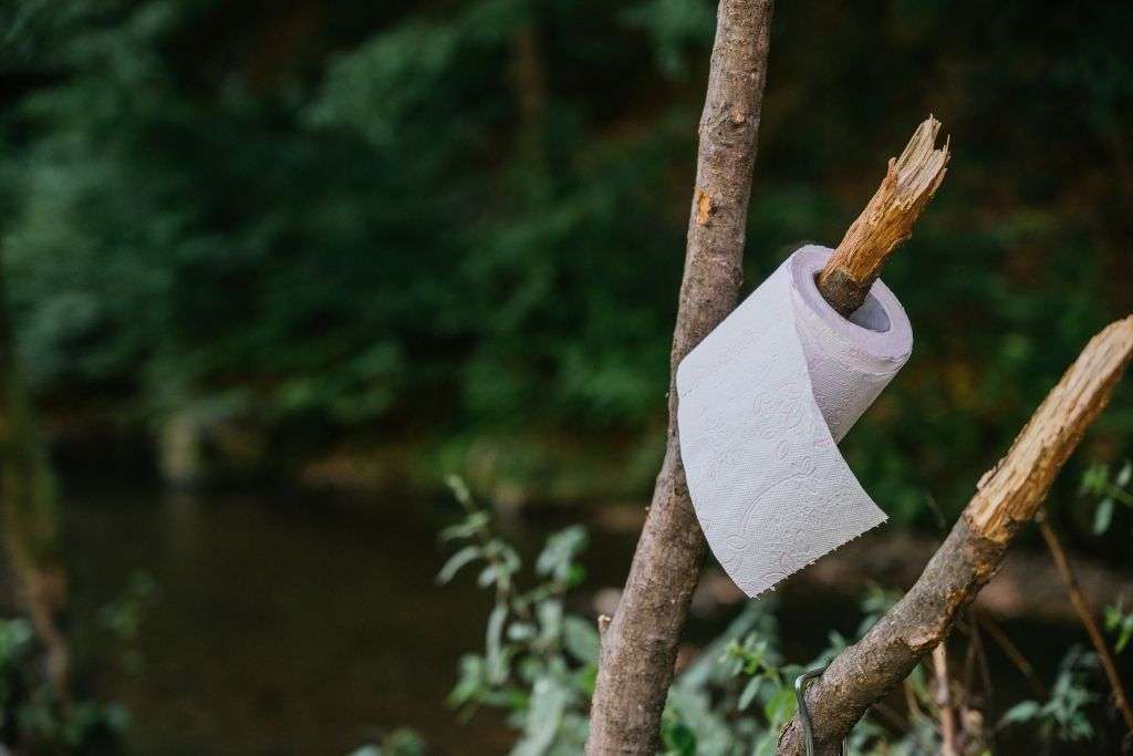toilet paper on a stick