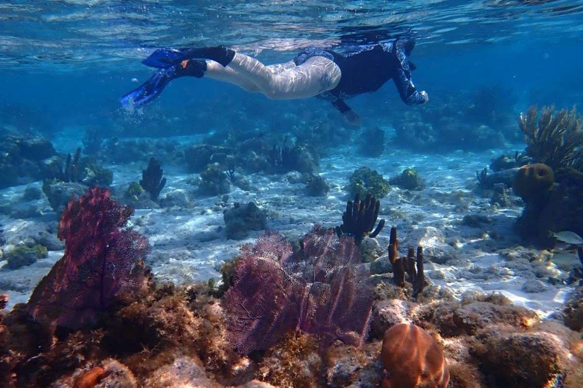 Snorkeling in Belize