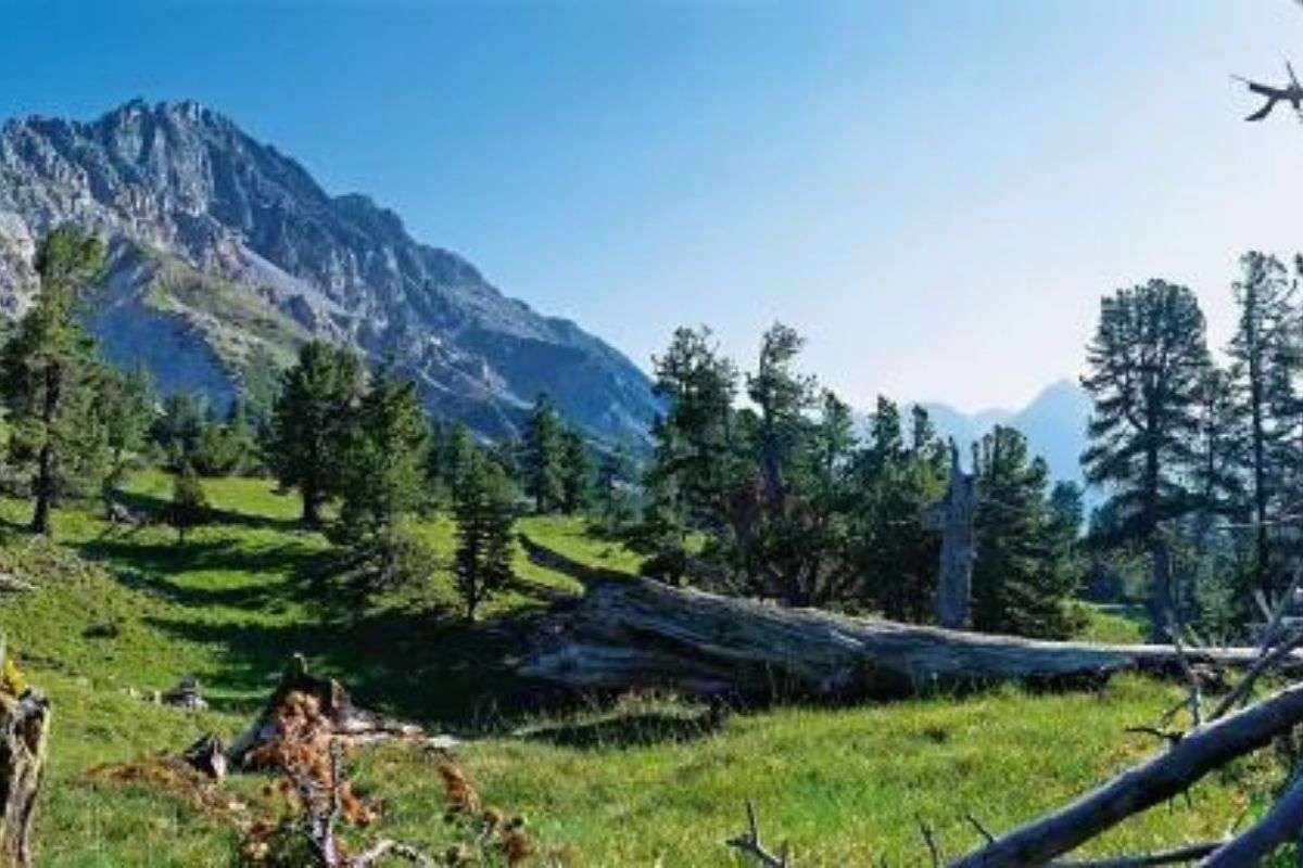 Hiking in Switzerland