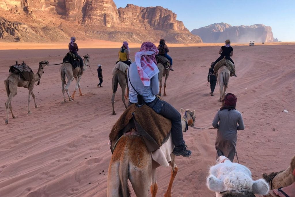 can a camel travel