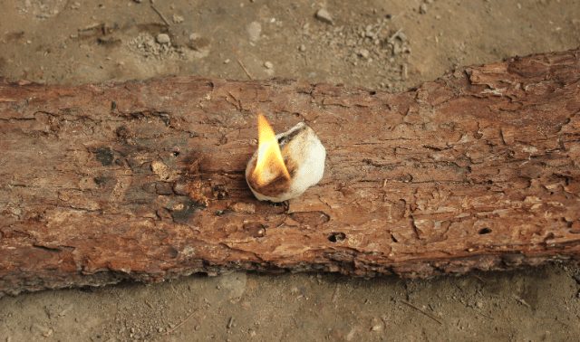 Small flame from on a log lit during a survival skills class