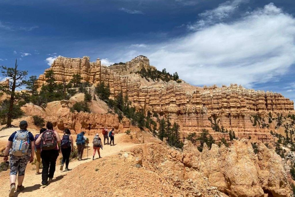 A group of hikers walking along a dusty trail with towering orange rock formations and green pine trees under a blue sky with white clouds