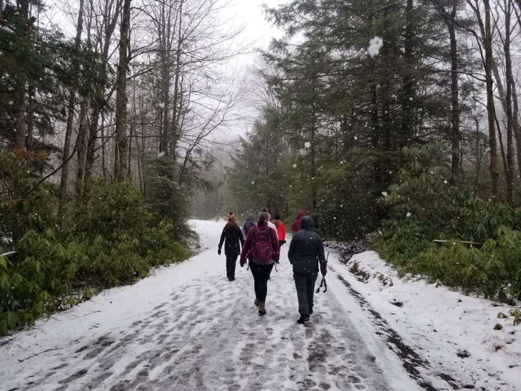 Group of women heading for a winter hike