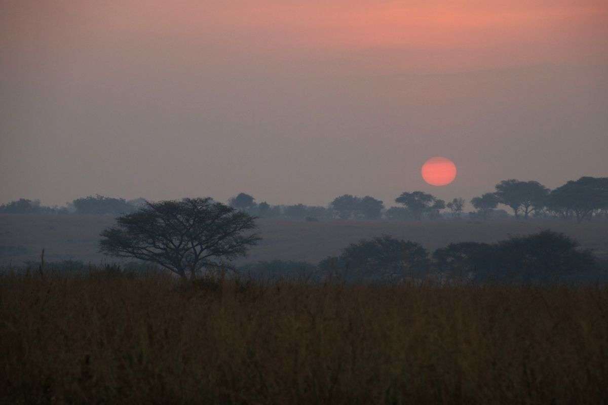 uganda sunset