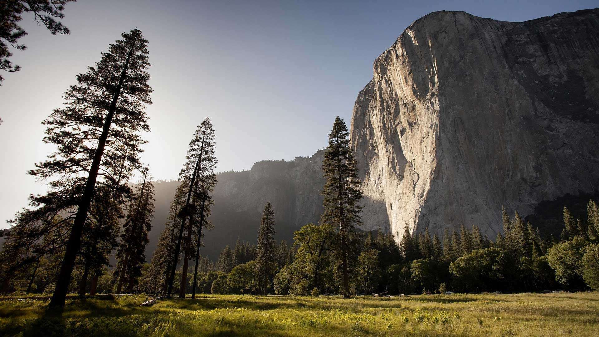 El Capitan Meadow